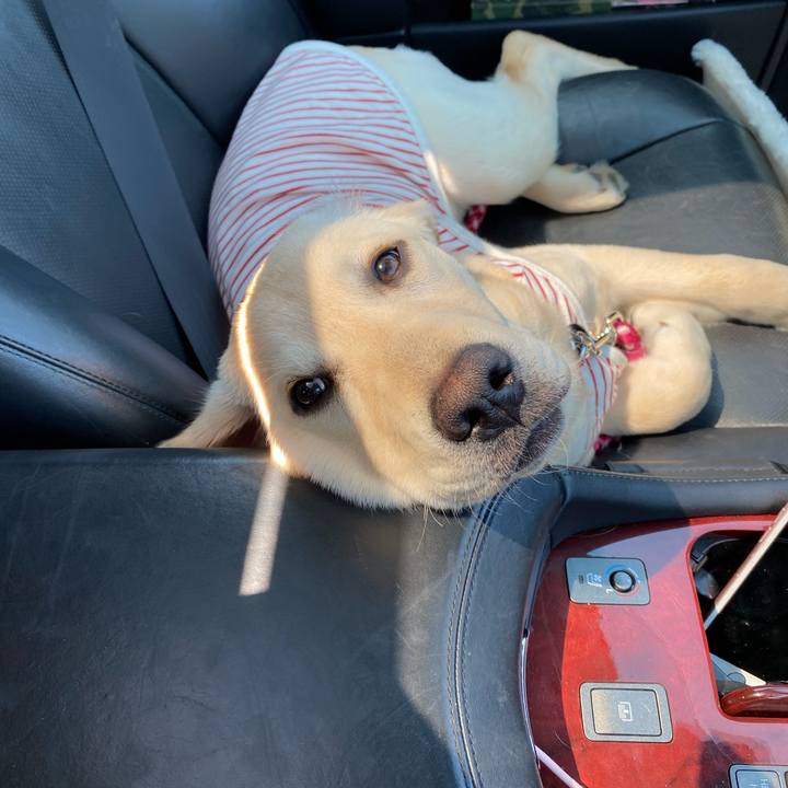 B9b9e197 4e06 4be2 bc10 f16cb1017e9a 1618925970823