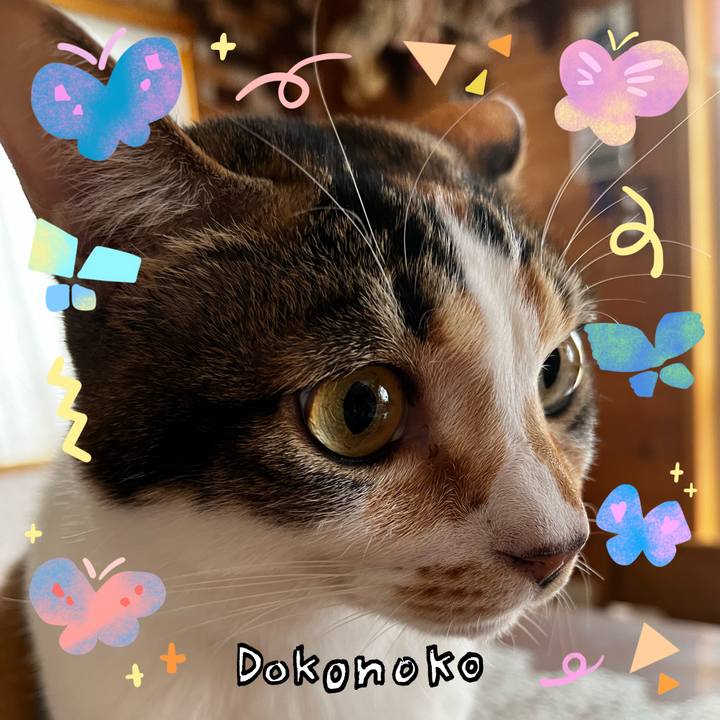 B9ba0ed3 0a3b 4b3b 8fc2 9fc87219c9e3 1711056821990