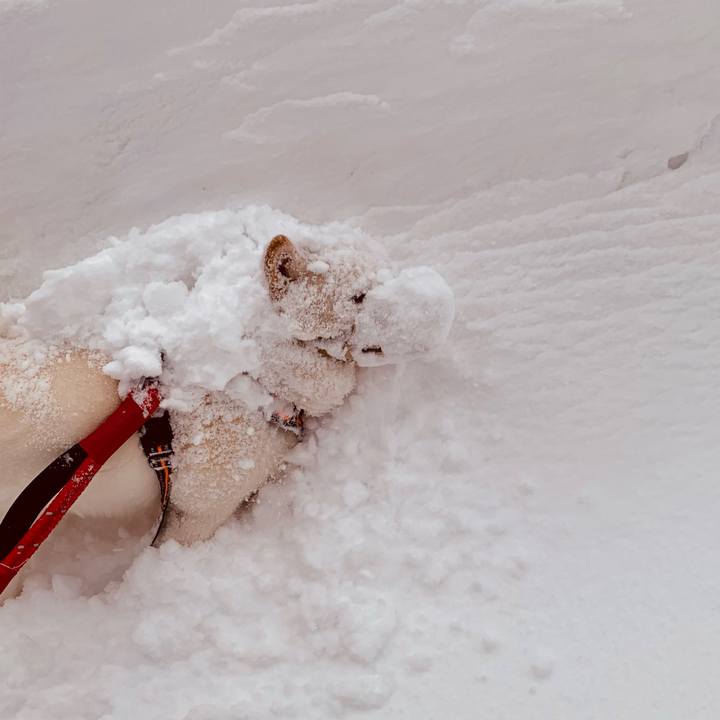 B9ba222a 4ca1 4e4f 89c7 3ac6b6abb4ee 1672617265473