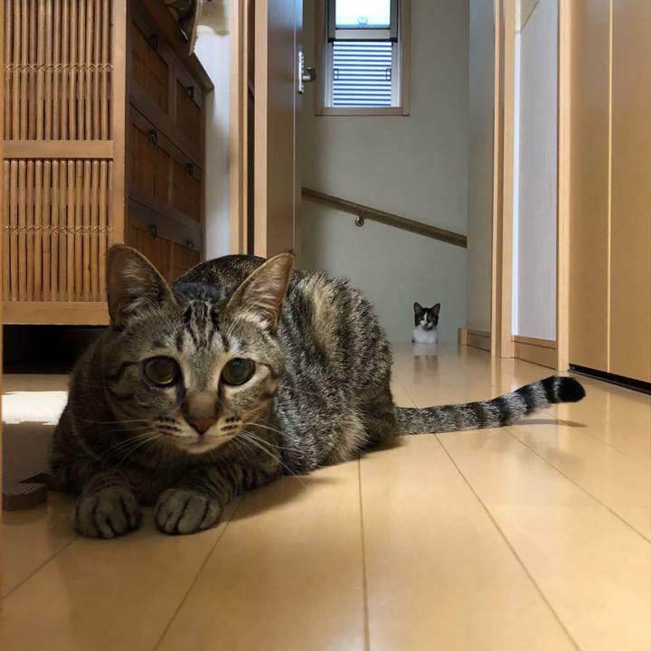 B9ba2b05 4ff1 4223 ab29 61c057e11df2 1525339949419