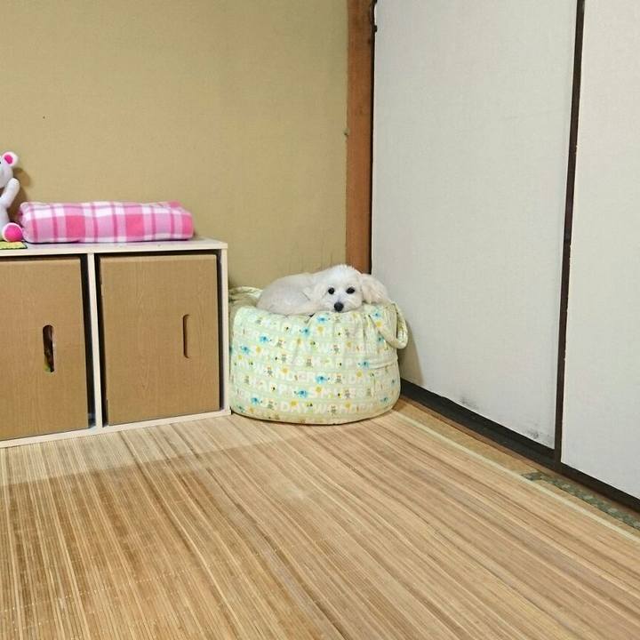 B9ba3f58 47da 4dfe 9f5c 69731e07803f 1508018733524