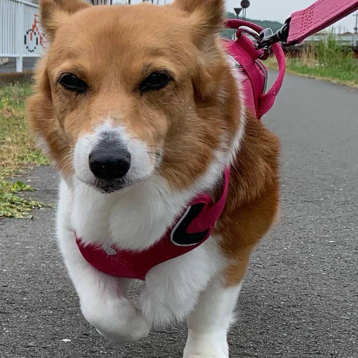 B9ba565b 2f32 44f7 b74a 4046a1c57422 1713669186371