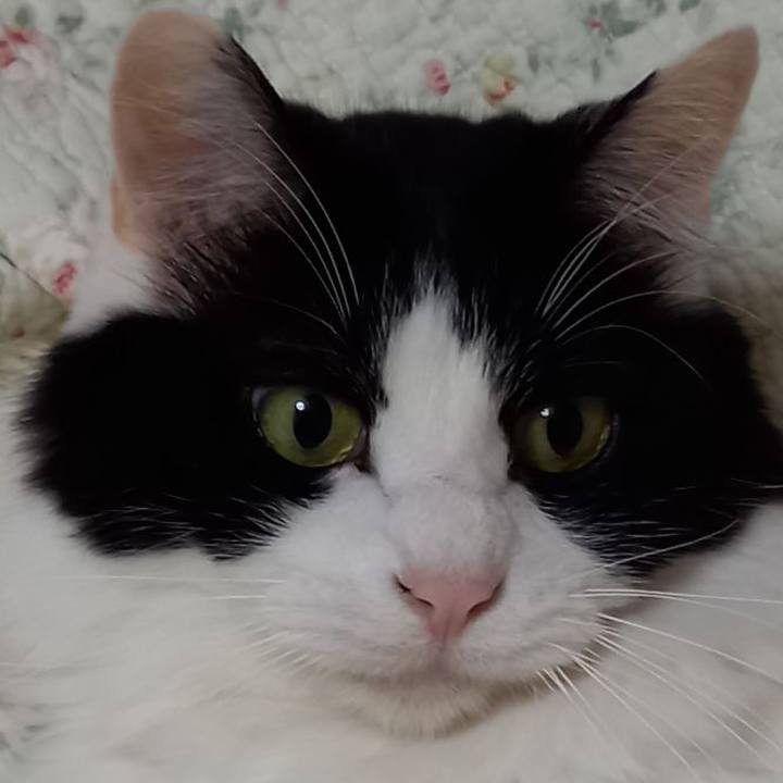 B9ba7122 2dc9 4fc4 948a 0c192130001e 1618015067438