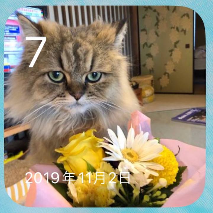 B9ba75e8 0278 4890 a063 4e431a549f18 1667815642543