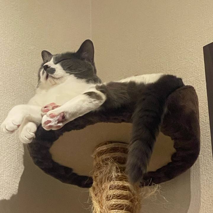 B9ba94da b639 4a34 b22b e1cfb18c4585 1750947131748