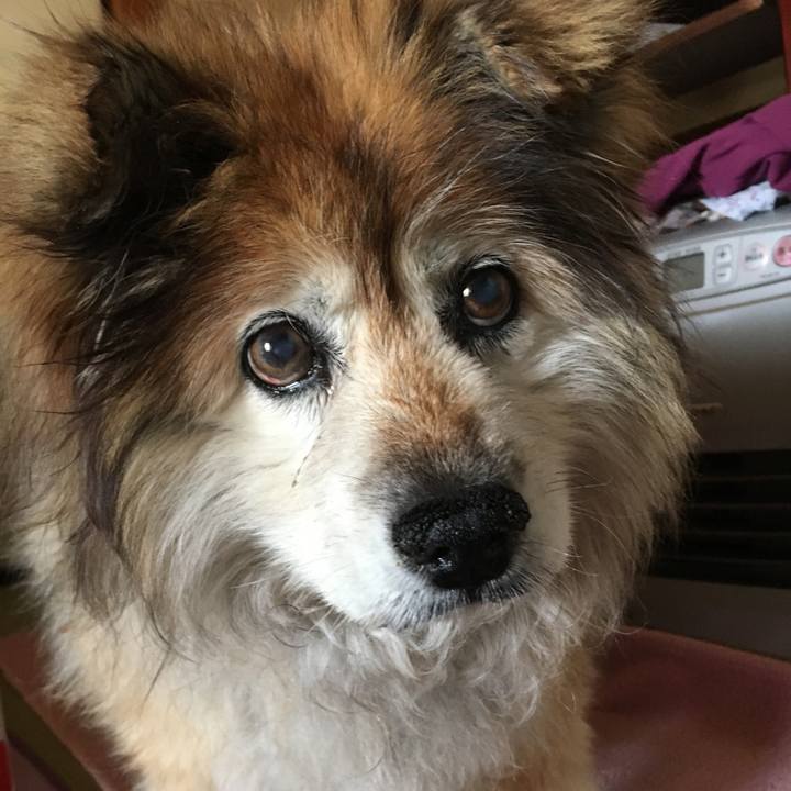 B9bac251 949d 4bf9 aec4 eb75247cadee 1563235156984