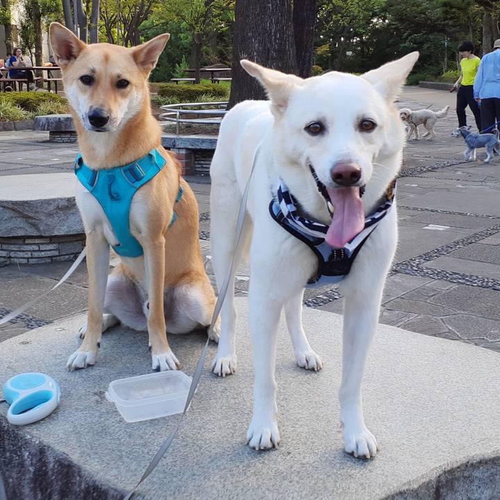 B9bac852 402c 480c b832 4f4187ec9c2a 1691798807269