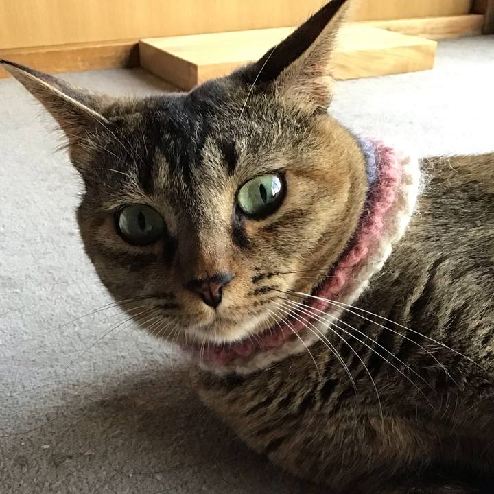 B9bacbe7 31a5 4e7f 9cf6 2f5e252ade39 1626427733312