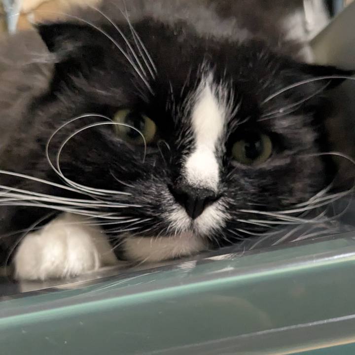 B9badf7b dd6f 4330 9ef7 e0d7d4be65d0 1747313818084