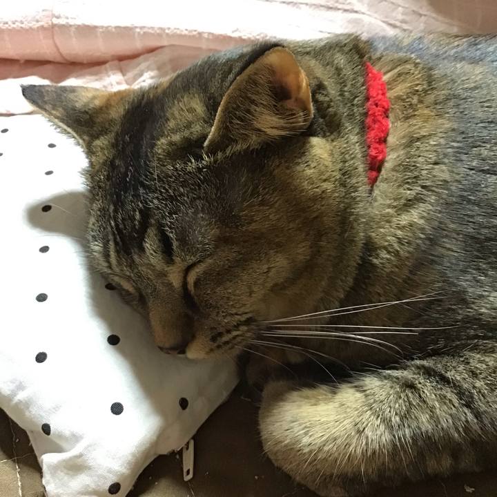 B9baf343 9b4e 45bf 9445 21a745511e5d 1672495815605