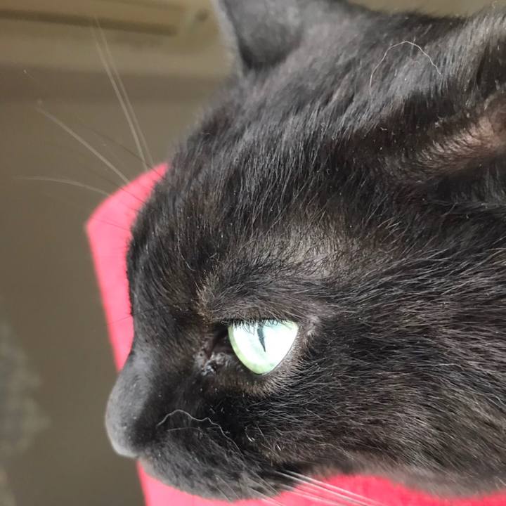 B9baf947 6b4f 4875 b892 3fbf0295c136 1667250957297