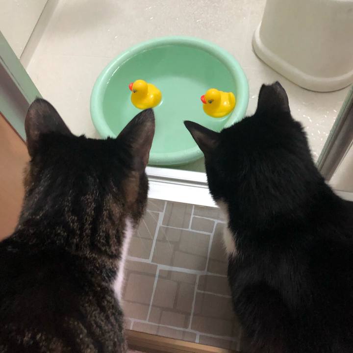 B9bafd1d 3898 450c 8744 1ca5d81e12fc 1550129462170