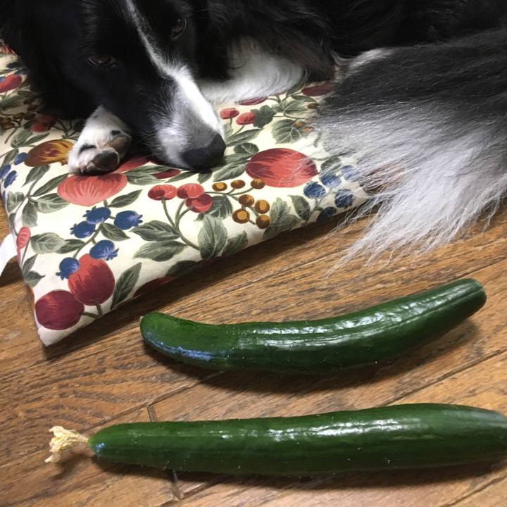 B9bb00bc 3670 4e46 be86 c47a677c2941 1530330783444