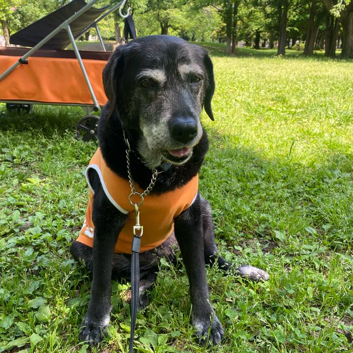 B9bb08c2 fc47 49d2 803b bfb47876a5d4 1746665941155