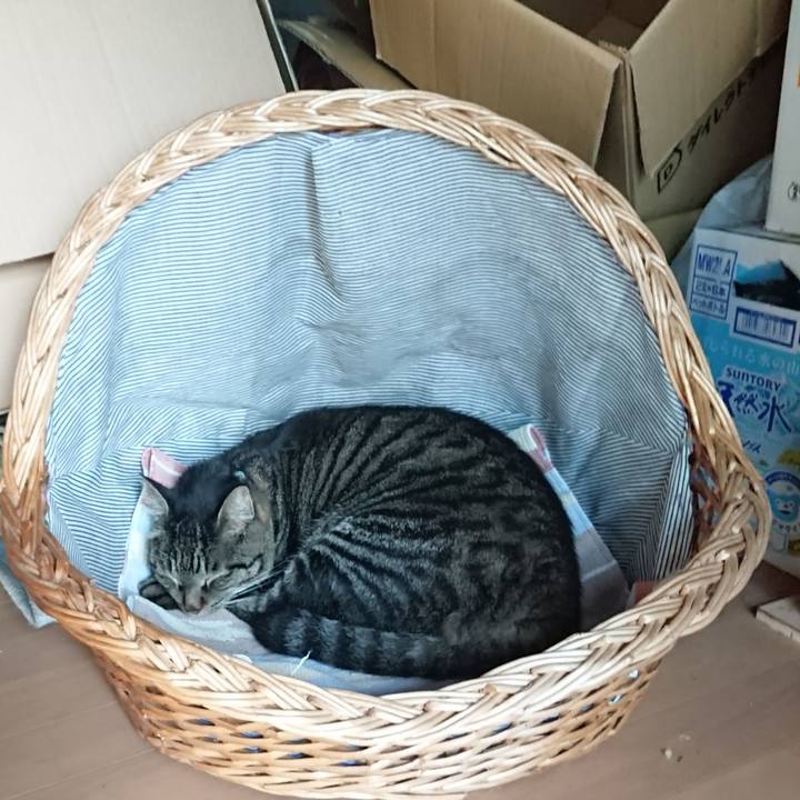 B9bb1df6 077a 4a79 8746 2e497b1cacb1 1662671498751