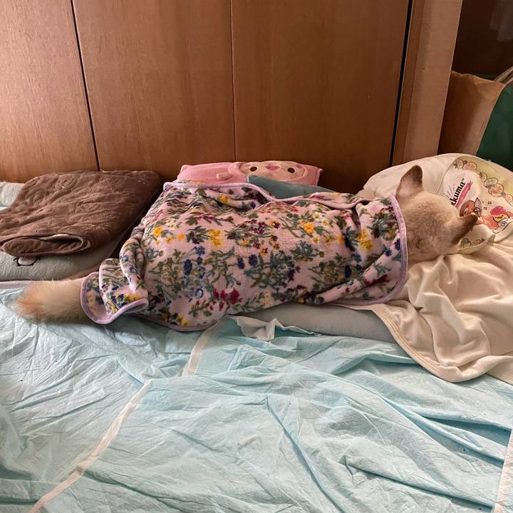 B9bb2b44 84b9 497c 93e2 e98e0ebf498f 1634785837025