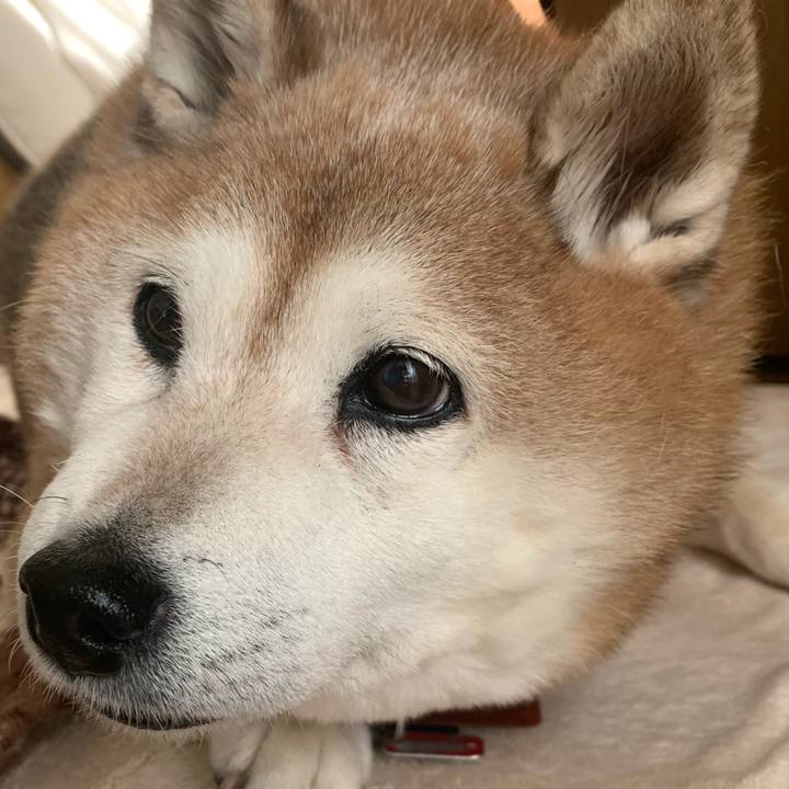 B9bb3aa8 e6fe 47da be77 0e6f58e785b4 1611207478394