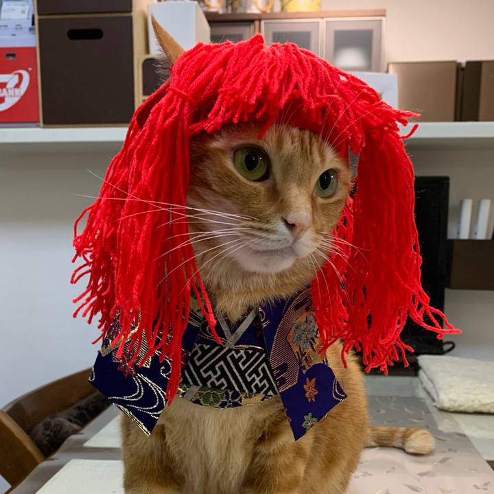 B9bb65fe a113 487e a691 0f607ef3f772 1573079409927