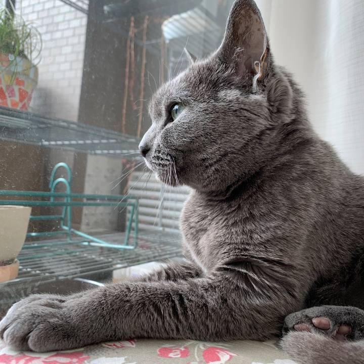 B9bbfcd0 590f 469f aefb 35cd46ffa92d 1579309719436