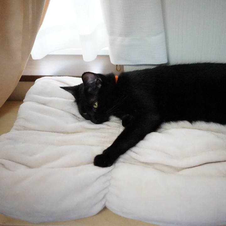 B9bc37c3 139e 4330 8222 f10d7747dea8 1539732317479