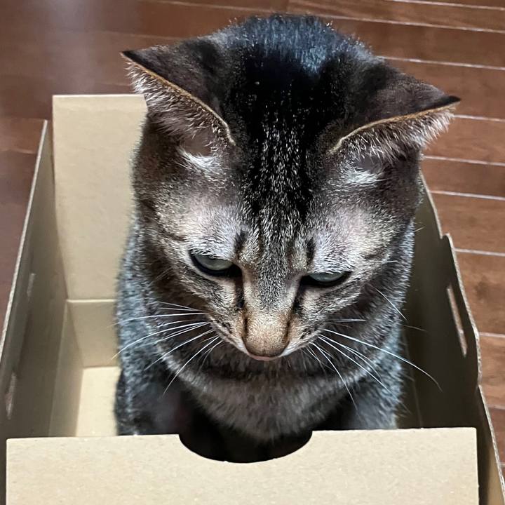 B9bc3dfd 4a9a 49e0 8316 622a27cdeb0a 1770420747726