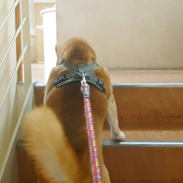 B9bc8b6d 16dd 4daa a234 bc5fb3d1c568 1766117254232