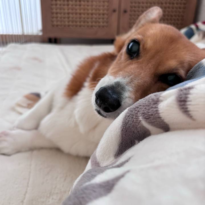 B9bcd56b 3252 47e1 a515 0f88ad3f7144 1741692755422