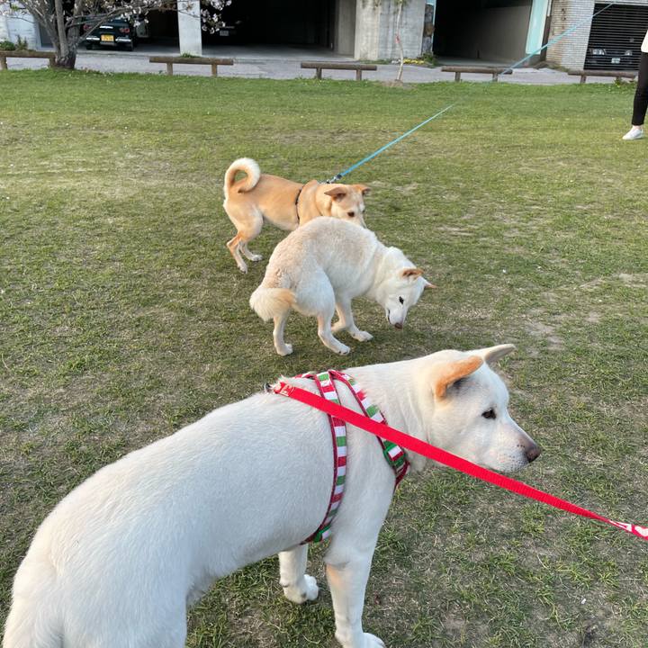 B9bcfdd2 0534 46d1 89d4 82378a879917 1649332342593