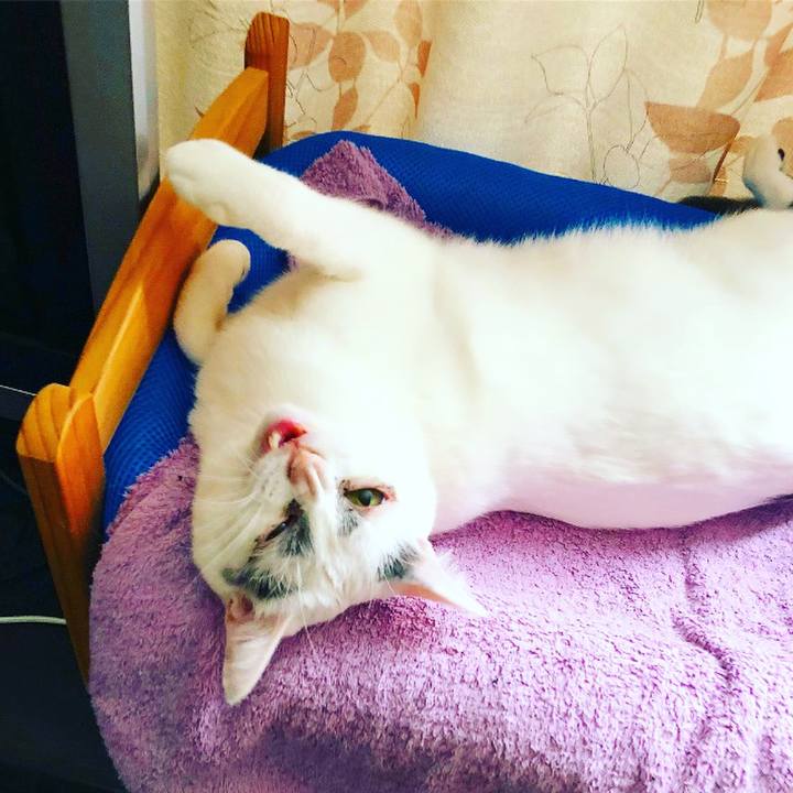 B9bcffe0 8276 4cf6 84f8 e2161b5eca80 1513356518108