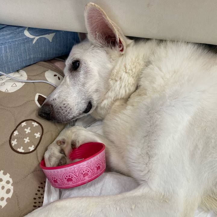 B9bd0d14 7ff4 4dfd add7 f06f5d273083 1603545679540