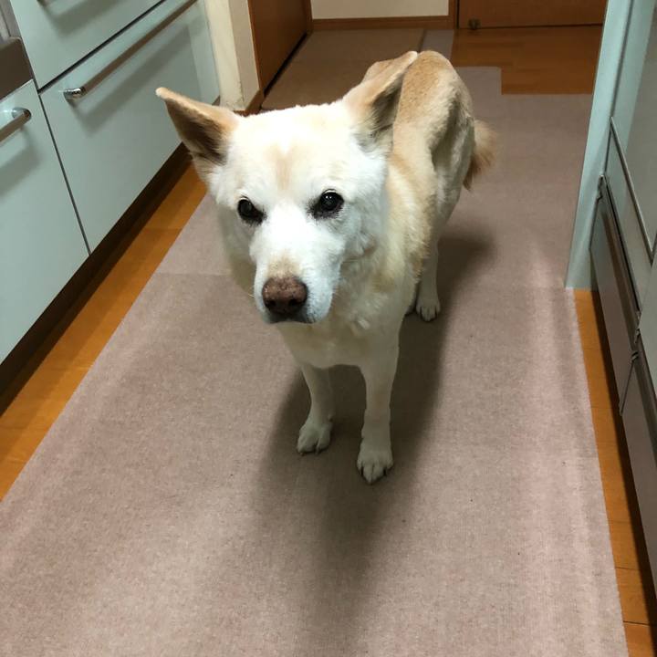 B9bd6776 e048 44ce b016 6504c64dae5a 1640961148253