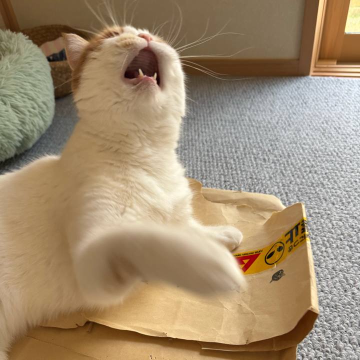 B9bd9e38 3134 443e 8a59 40e70a8c67bc 1776654229536