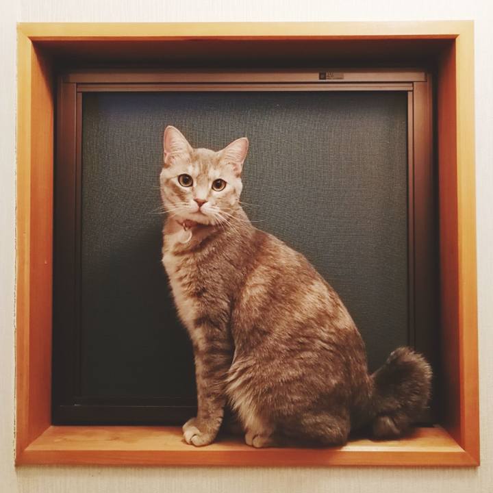 B9bda6a2 e631 4989 adb4 f3374613dc78 1528162418331