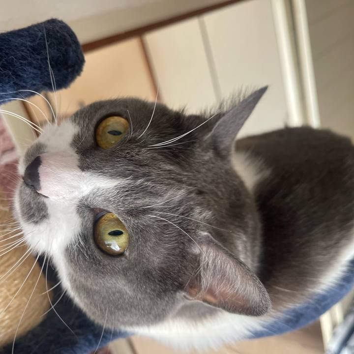 B9bda6f7 043a 4746 96cb dc630e6dc05e 1664755516344