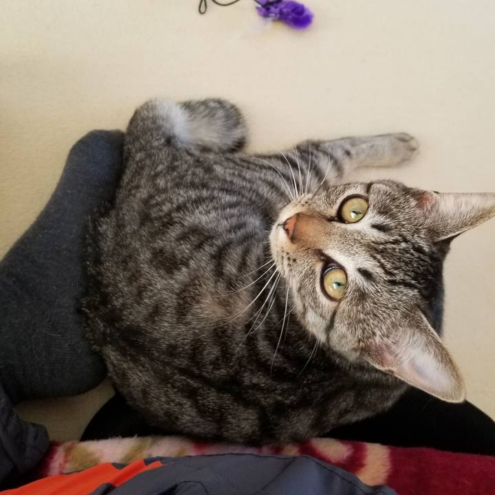 B9bdba3a baed 4966 bf93 e8e8f0e37716 1673704918527