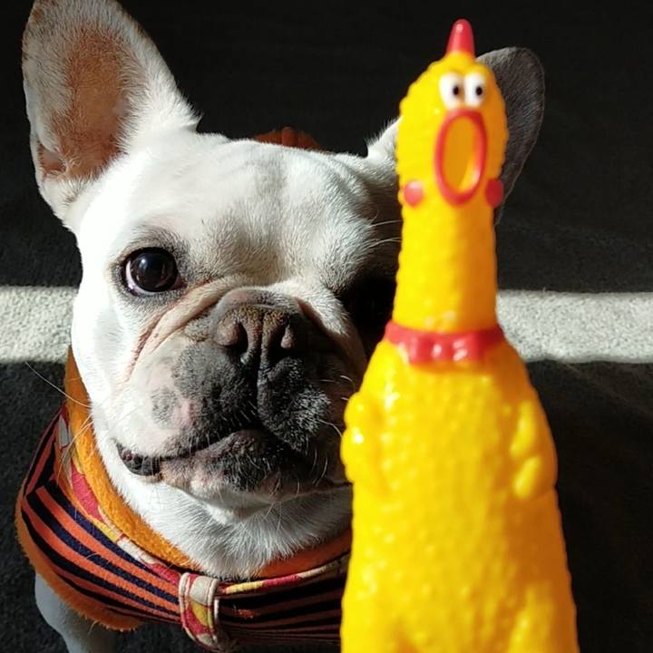 B9bded0c 06de 4c18 81e7 4f11e8311263 1640300564954