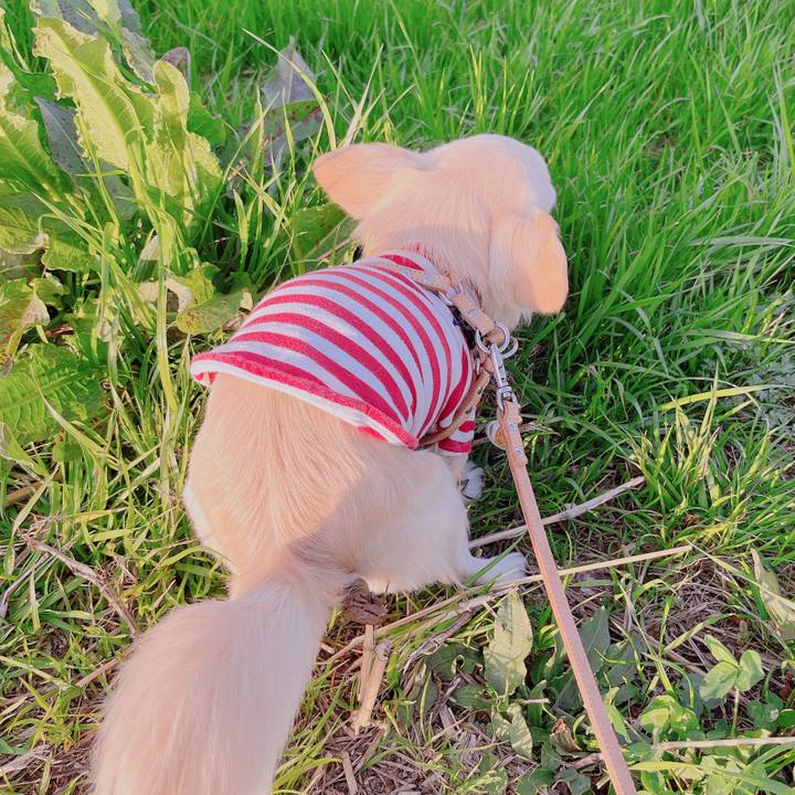 B9be14c5 d462 4fa8 b731 64eecef8320a 1678964027887