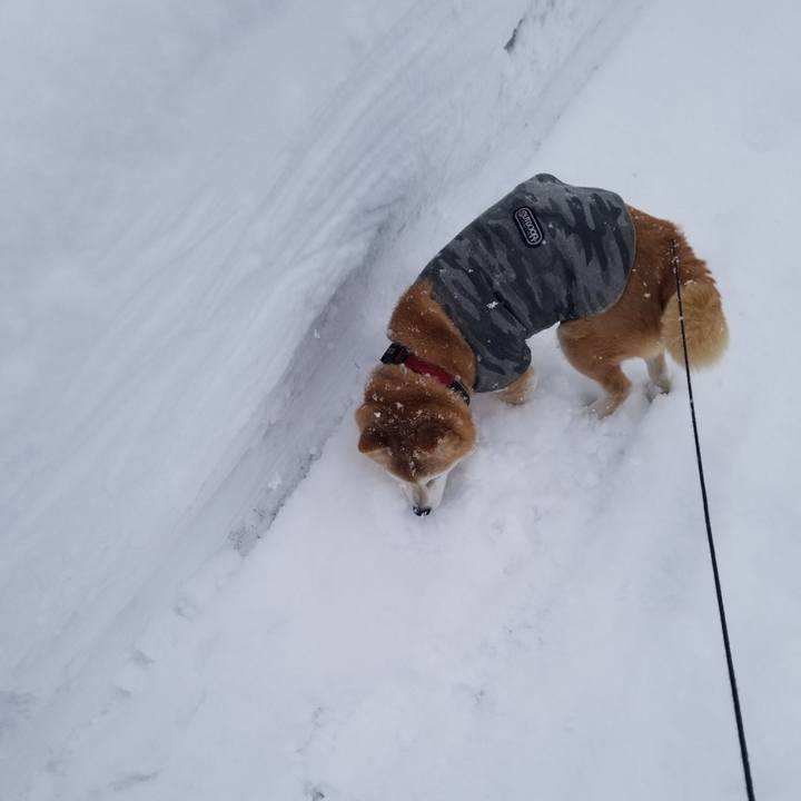 B9be1b72 da35 4696 8295 0a99e050593a 1739937541368