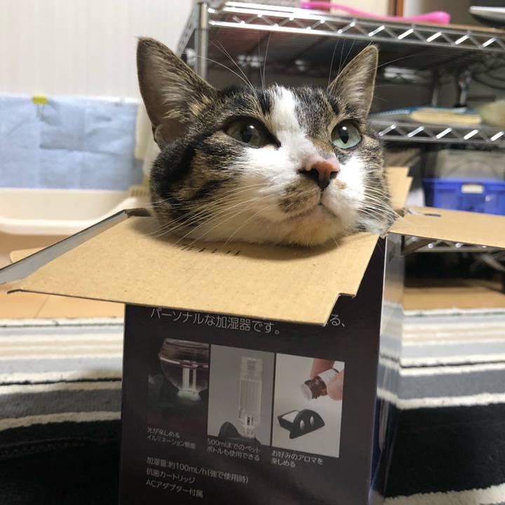 B9be2134 8475 4e1f be81 91b46c05041b 1611957209844