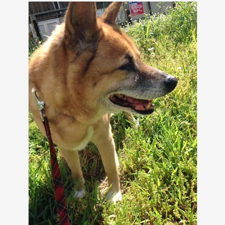 B9be25e8 72b9 4334 bff4 2239dd098d37 1570926614168