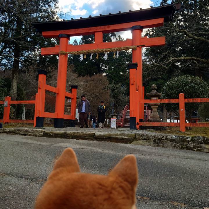 B9be67ff 69be 4c27 a988 51c8a268d341 1767259398295