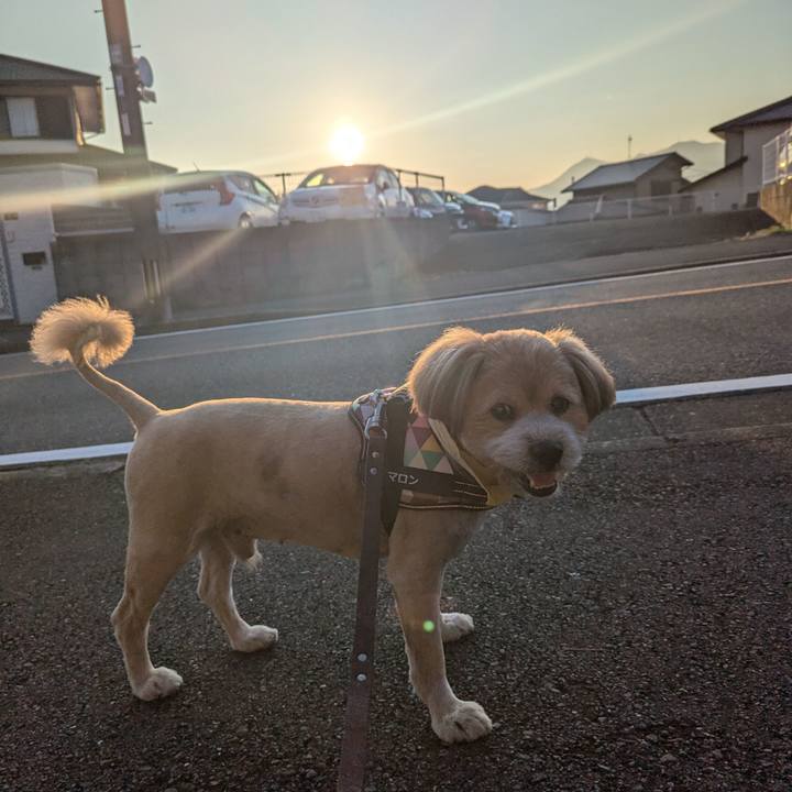 B9be71fc 584d 41a3 8f7c a47f8d6dadb9 1722894697103