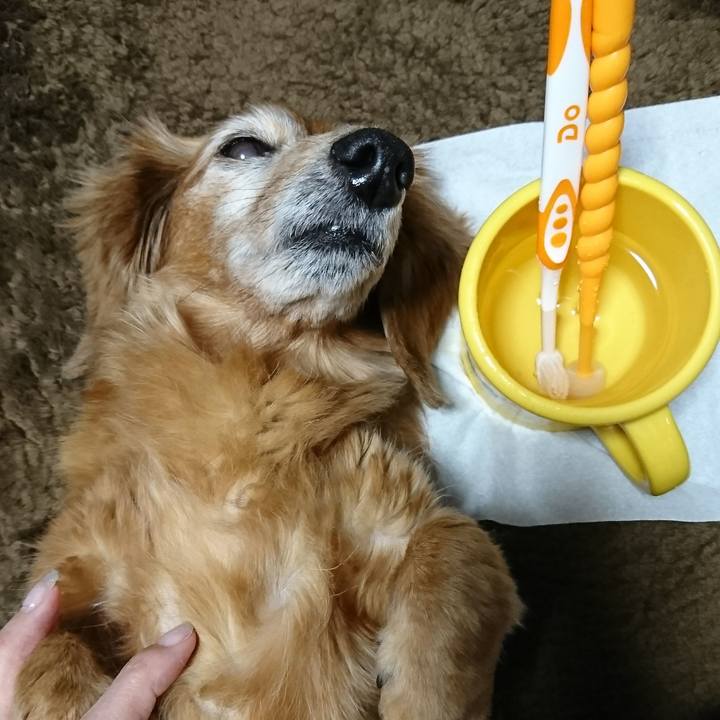 B9be7915 c7df 40e5 a27c 2718dace30ae 1512754745480