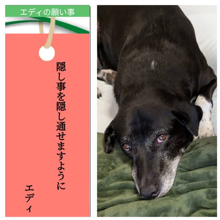 B9be82b0 8dd2 42b2 b9a4 49013aa16fca 1751865505208