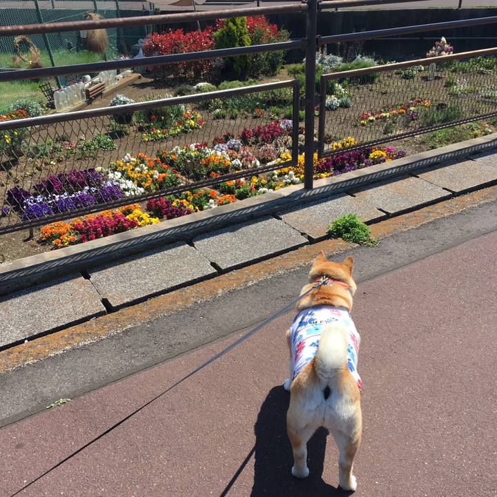 B9be8e36 c170 4057 a180 19aa82eda6dc 1554176844462