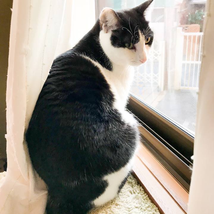 B9bed601 4a3e 40f5 91ed 80179bd0fd80 1516373609740