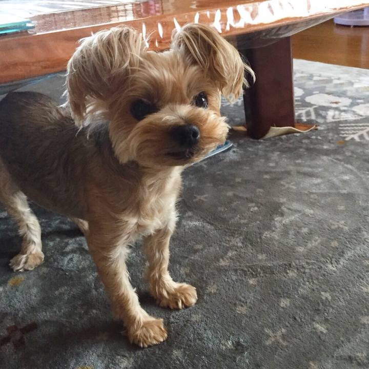 B9bf1061 56e5 45f2 b1cd 0fb1faa500eb 1532857368075