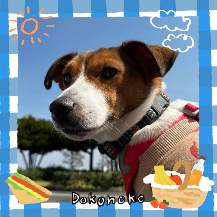 B9bf215b 9dcd 4305 b5c2 cca676490ea4 1744375015704