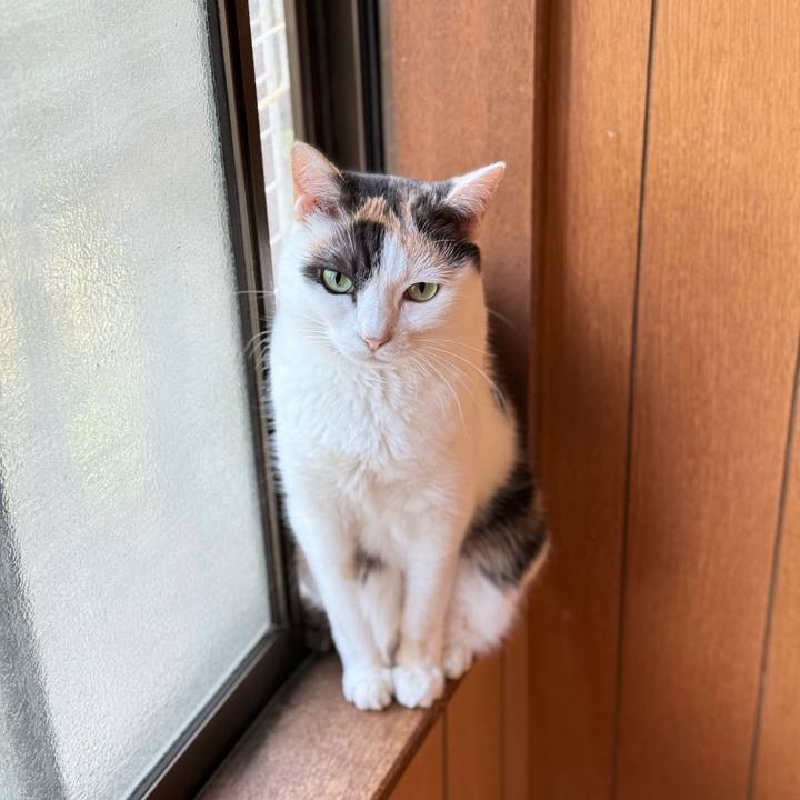 B9bf99e3 a9b8 4bc4 aec0 09abfd1f24c2 1752626508837