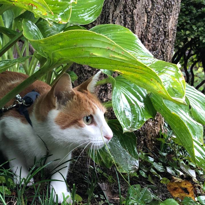 B9bfba90 c97a 4b71 8c27 42eac71cd8f8 1538275707838